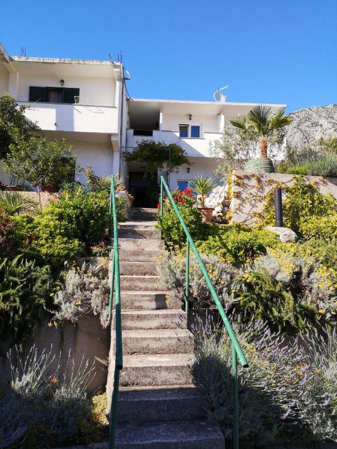 Apartman Mare درفينيك المظهر الخارجي الصورة